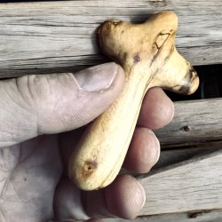 Krammekors #360 birk